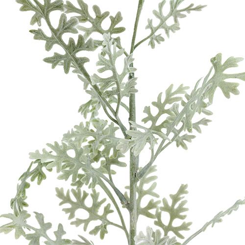 Floristik24 Plantas artificiales Hoja de plata blanco-verde 40cm 6pcs