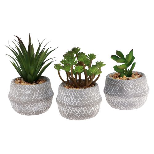 Artículo Plantas Artificiales Suculentas Planta Verde Artificial 11-14cm 3uds