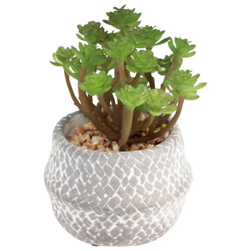 Floristik24 Plantas Artificiales Suculentas Planta Verde Artificial 11-14cm 3uds