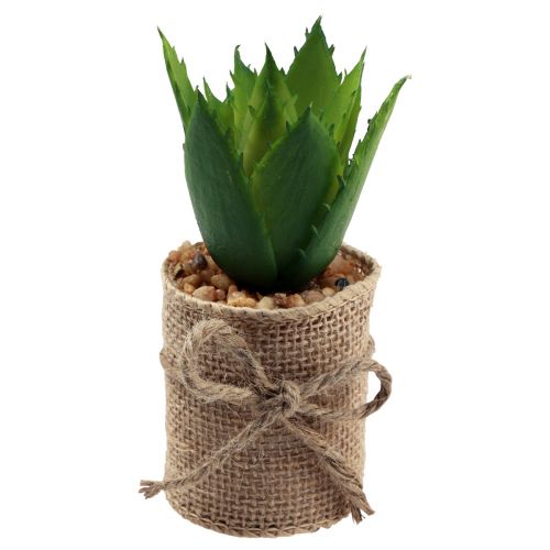 Floristik24 Plantas artificiales suculentas decorativas artificiales 9,5-12,5cm 3uds