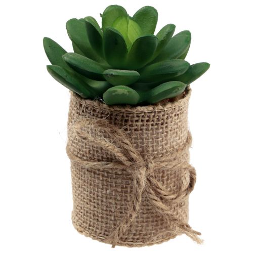 Floristik24 Plantas artificiales suculentas decorativas artificiales 9,5-12,5cm 3uds