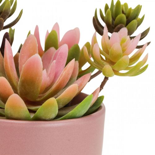 Floristik24 Plantas artificiales en macetas suculentas artificiales H13cm 3pcs