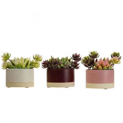 Floristik24 Plantas artificiales en macetas suculentas artificiales H13cm 3pcs