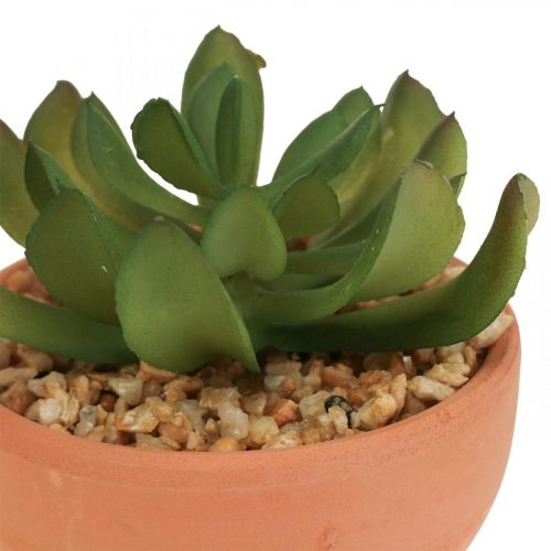 Floristik24 Plantas artificiales en macetas suculentas artificiales H9cm 3pcs