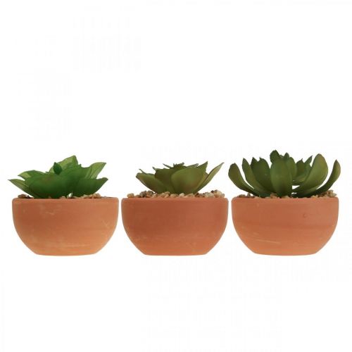 Floristik24 Plantas artificiales en macetas suculentas artificiales H9cm 3pcs