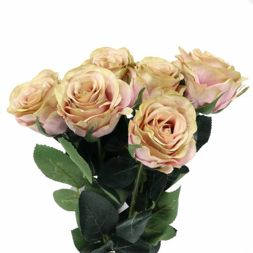 Crema rosa llena de arte, rosa Ø6cm L37cm 6pcs