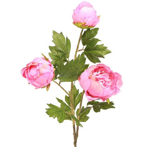 Artículo Rosas artificiales Peonías artificiales en color rosa L80cm 2 uds.
