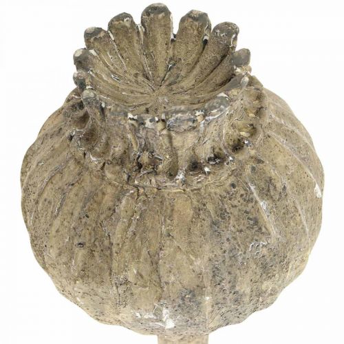 Artículo Piedra artificial deco poppy deco antiguo marrón Ø11cm 30cm