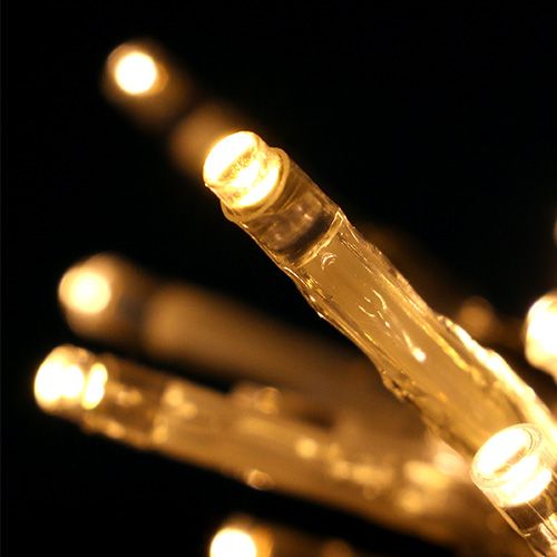 Floristik24 Luces de hadas LED 10er 1.3m blanco cálido, con pilas
