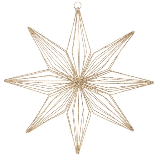 Estrella decorativa LED de alambre para colgar, para uso interior, funciona con pilas, 51 cm. comprar | Floristik24.es