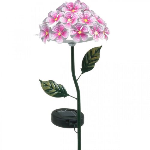 Floristik24 Flor solar, decoración de jardín LED, crisantemo rosa decorativo L55cm Ø15cm