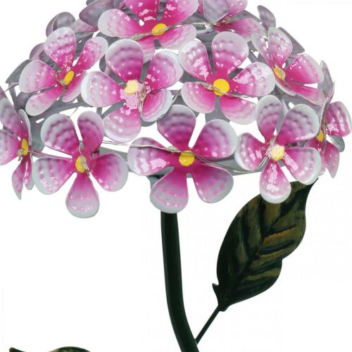 Floristik24 Flor solar, decoración de jardín LED, crisantemo rosa decorativo L55cm Ø15cm