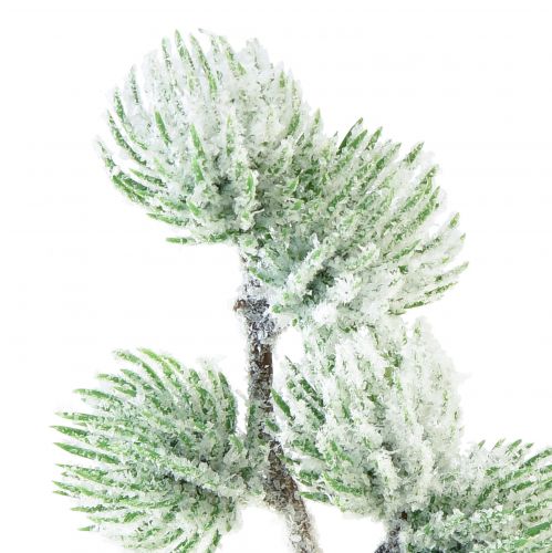 Artículo Rama decorativa de alerce artificial verde con nieve L25cm