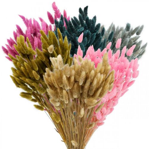 Artículo Hierba de cola de liebre seca coloreada Lagurus 65-70 cm 100 g