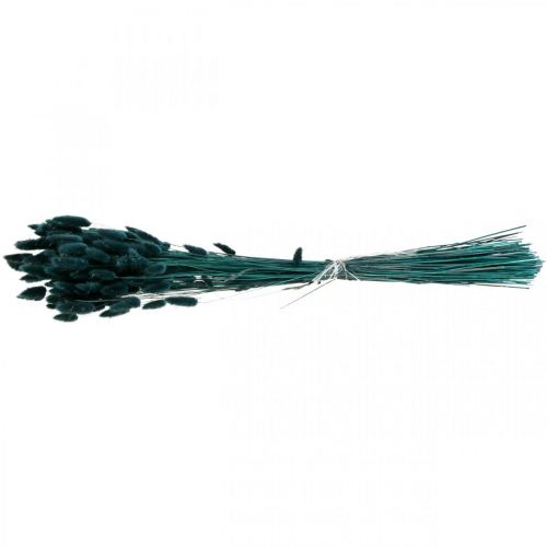 Floristik24 Lagurus Hierba Cola de Conejo Seca Verde Oscuro 65-70cm 100g