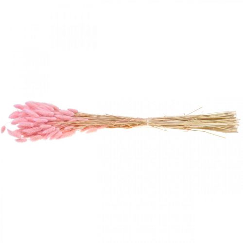 Floristik24 Lagurus hierba cola de conejo seca rosa claro 65-70cm 100g