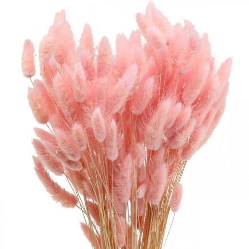 Artículo Lagurus hierba cola de conejo seca rosa claro 65-70cm 100g