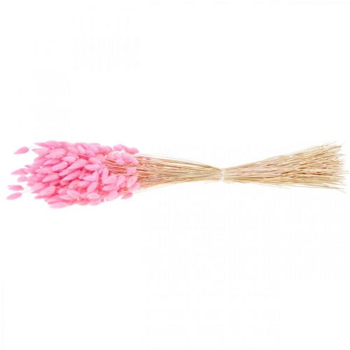 Artículo Lagurus Cola De Conejo Seca Hierba Rosa 65-70cm 100g