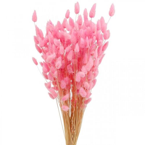 Artículo Lagurus Cola De Conejo Seca Hierba Rosa 65-70cm 100g