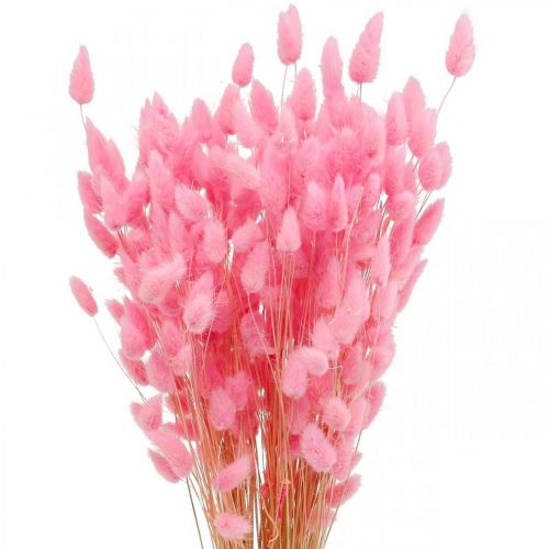 Artículo Lagurus Cola De Conejo Seca Hierba Rosa 65-70cm 100g