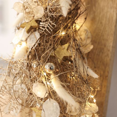 Flores secas Lagurus Natural – Hierba de cola de conejo esponjosa en color blanco crema 55-70 cm 100 g | Floristik24.es