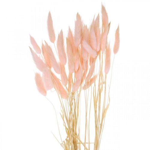 Hierba decorativa rosa, Lagurus, decoración natural, floristería seca L45–50cm 30p