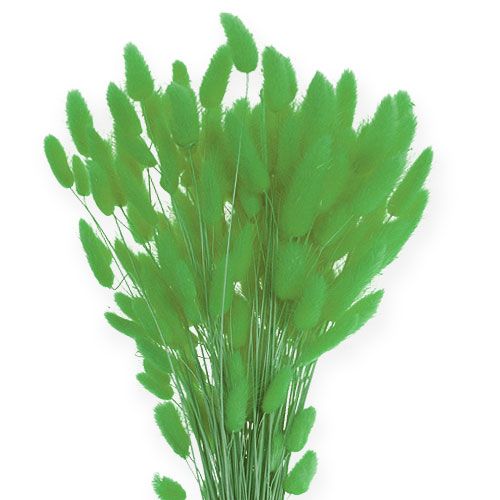 Artículo Hierba Decorativa Manzana Verde Lagurus 100gr