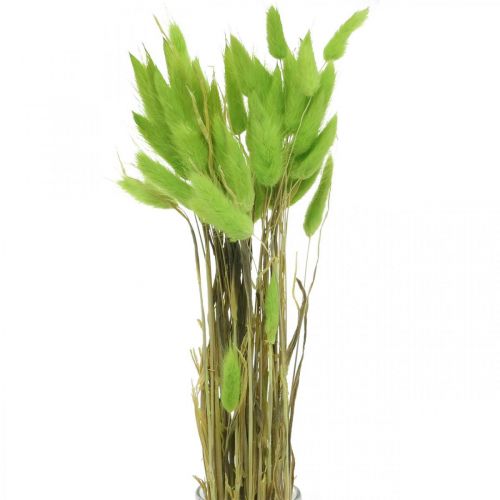 Terciopelo verde hierba, lagurus, decoración seca, hierba dulce seca L18-50cm 25g