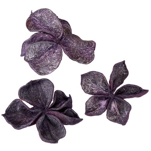 Artículo Landlotus Mix Mora, Rosa Viejo 50uds