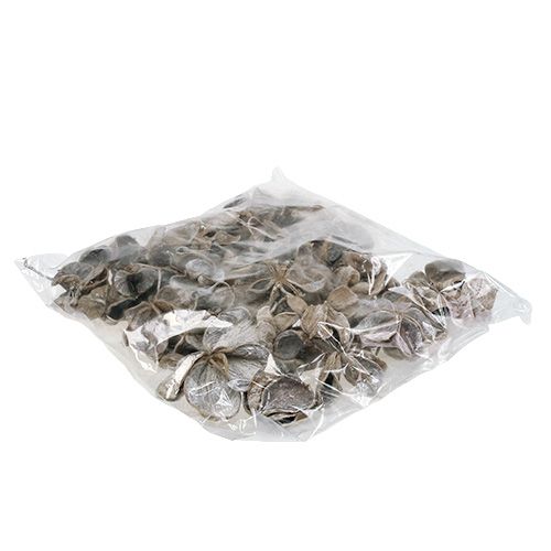 Artículo Landlotus blanco lavado 6-12cm 50uds