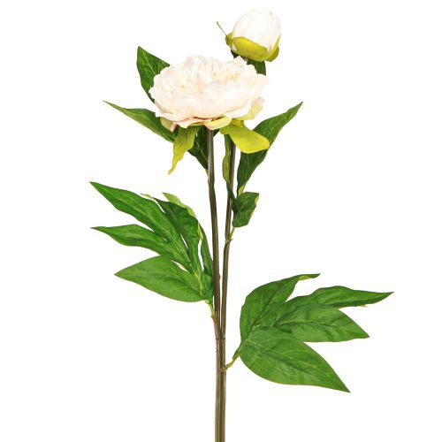 Artículo Peonías artificiales largas flores artificiales crema 70cm 3uds