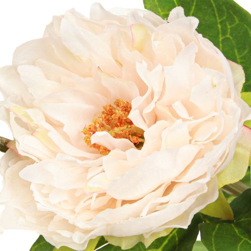 Artículo Peonías artificiales largas flores artificiales crema 70cm 3uds