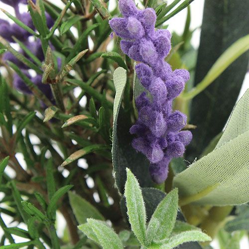 Floristik24 Ramo de Romero Lavanda 20cm