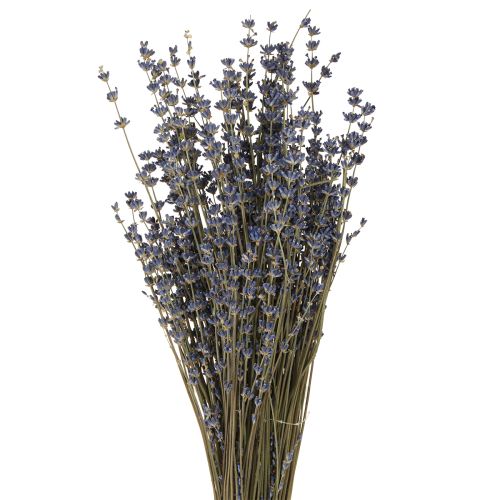 Floristik24 Flores secas de lavanda para decoración, naturales, 100 g, 40 cm, 100 g x 2 unidades