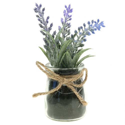 Artículo Lavanda en un tarro H15cm