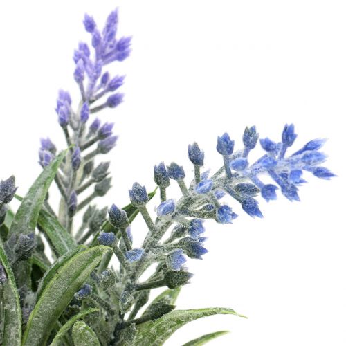 Floristik24 Lavanda en un tarro H15cm