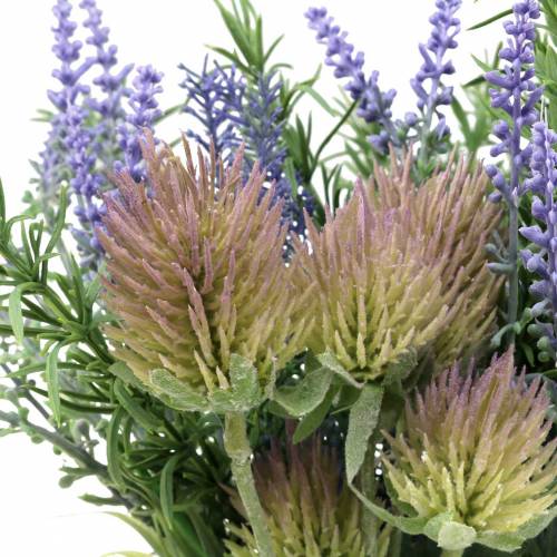 Floristik24 Manojo de hierbas lavanda, romero, cardo 40cm
