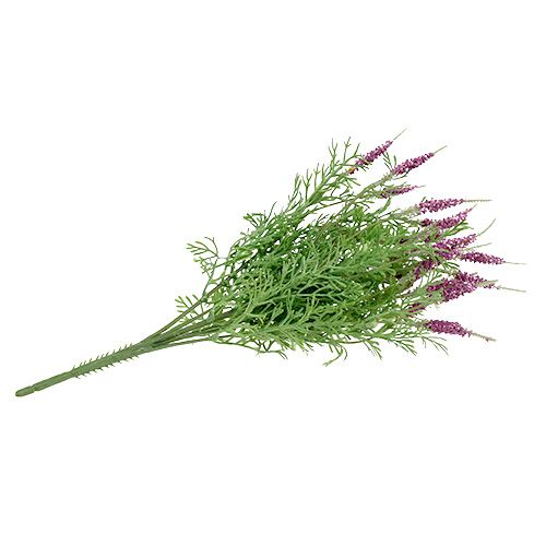 Floristik24 Arbusto de lavanda violeta 43cm
