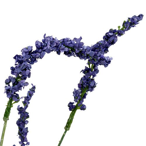 Floristik24 Arbusto de lavanda 55cm azul