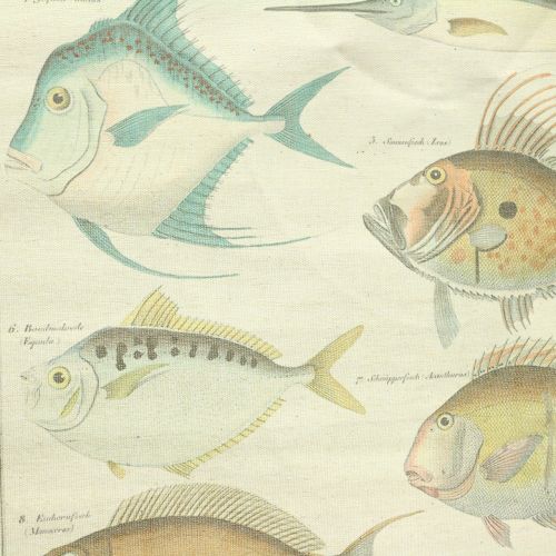 Floristik24 Pergamino decorativo de lino con pez 60cm x 72cm