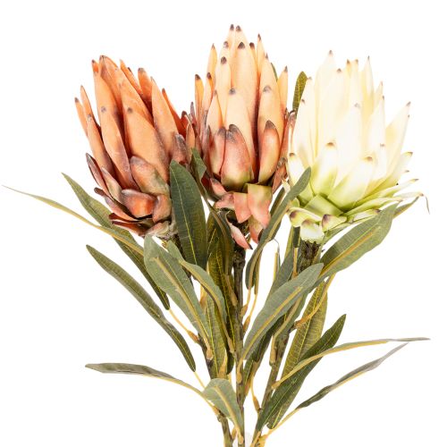 Flor artificial de Protea Leucadendron con tallo largo, 65 cm, 3 piezas | Floristik24.es