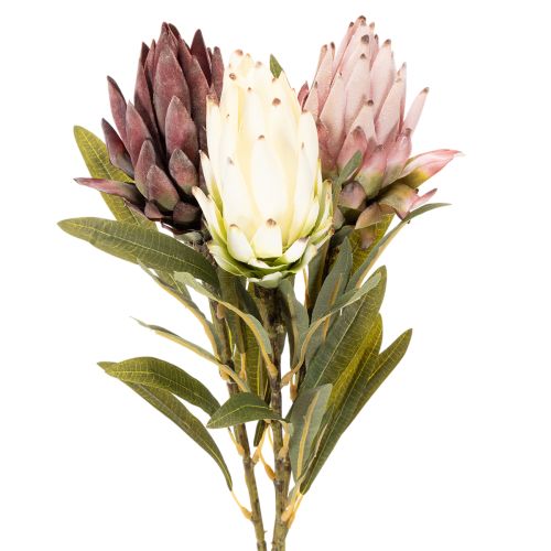 Protea artificial Leucadendron 100cm 3 piezas comprar | Floristik24.es