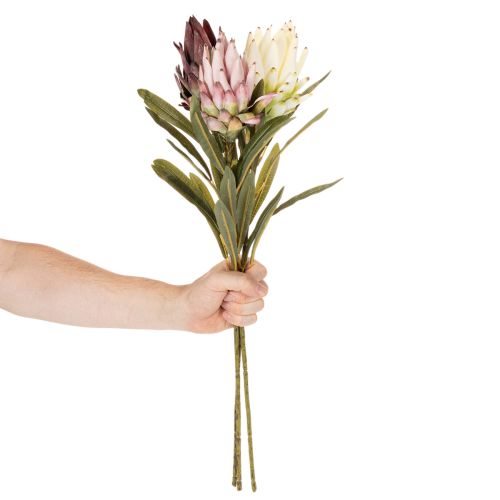 Protea artificial Leucadendron 100cm 3 piezas | Floristik24.es