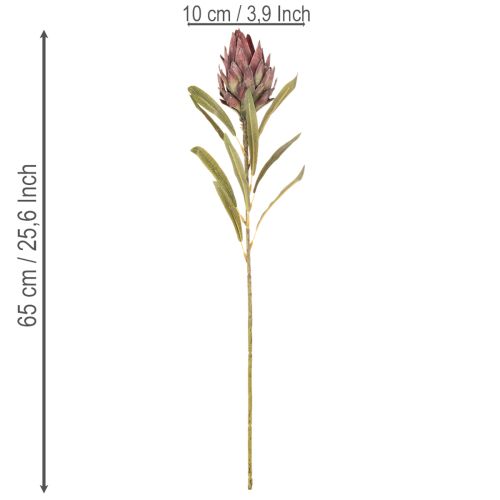 Protea artificial Leucadendron 100cm 3 piezas | Floristik24.es