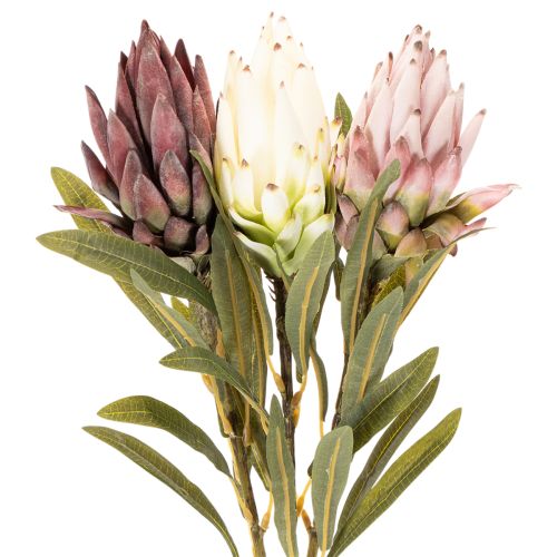 Protea artificial Leucadendron 100cm 3 piezas | Floristik24.es