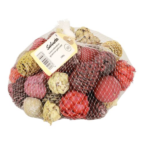 Artículo Conos Leucadendron Bellgum Verde Rojo Amarillo Esmerilado 300g