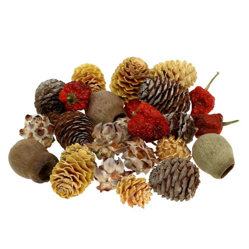 Floristik24 Mezcla exótica de frutos secos y conos natural 500g