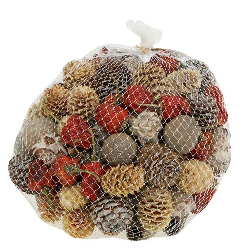 Floristik24 Mezcla exótica de frutos secos y conos natural 500g