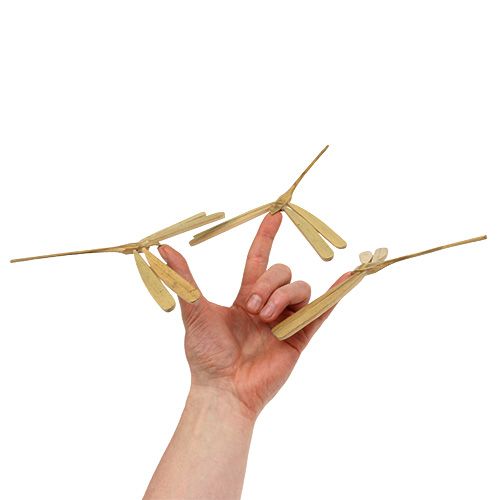 Floristik24 Libélula de bambú balanceada 18cm x 16cm 4pcs