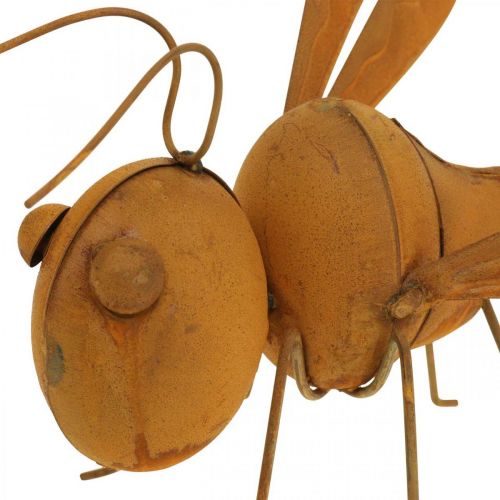Floristik24 Libélula decorativa, decoración de cama, figura de jardín patinada L28cm H21cm